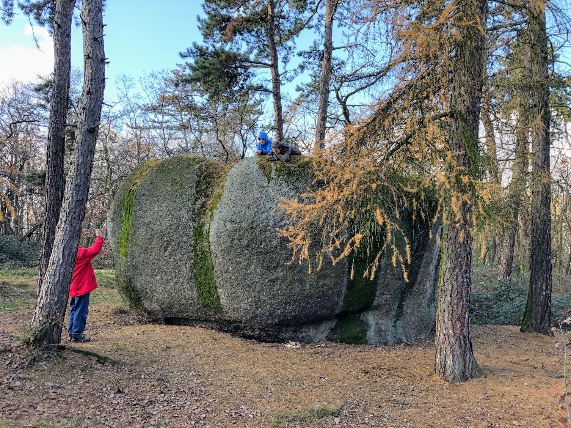 Klepec rok 2019